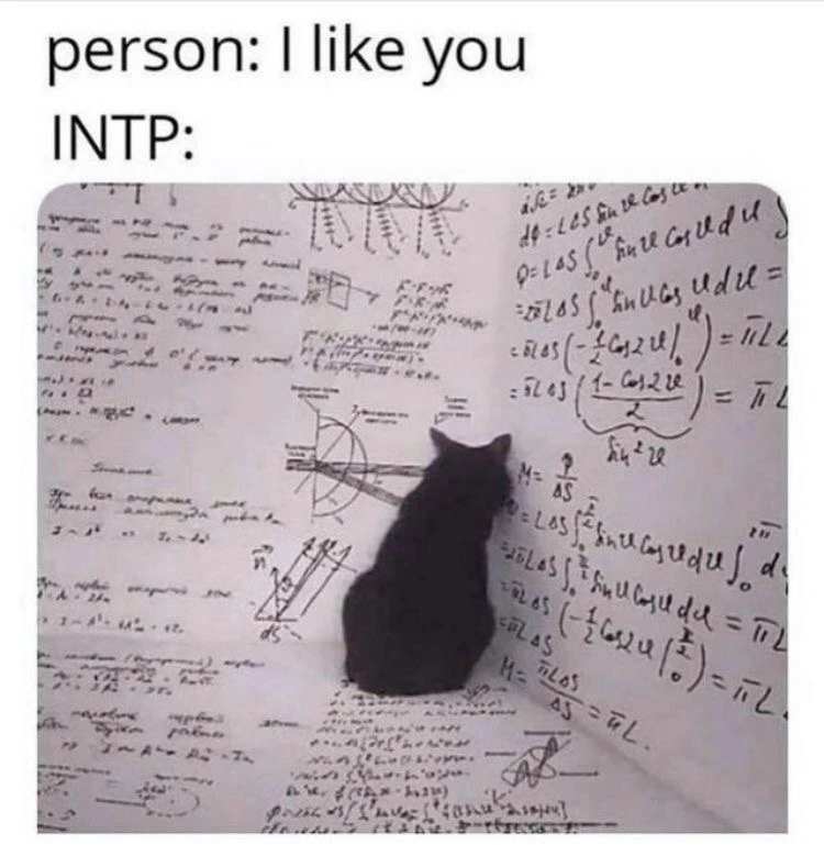 Image uploaded by Bean