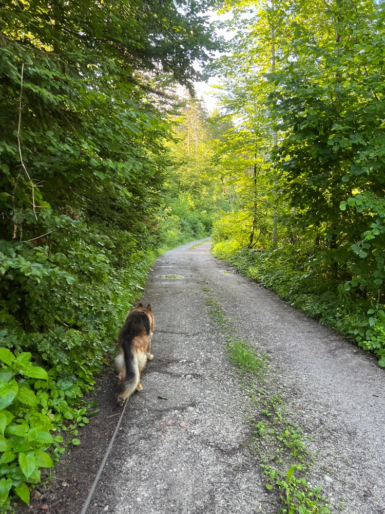 Image uploaded by Anton