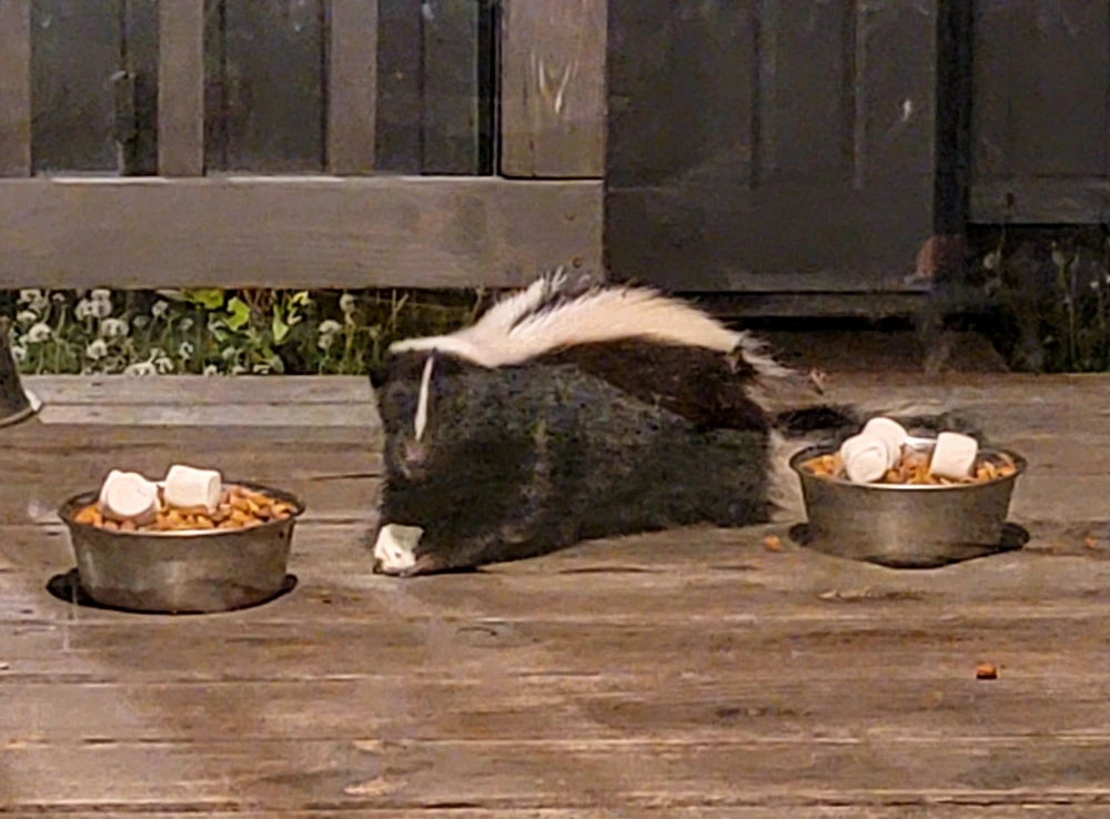 I'm willing to bet...