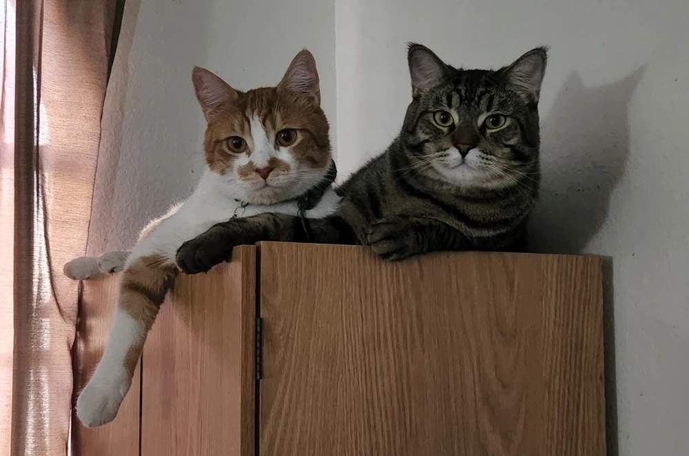 Image uploaded by Autumn