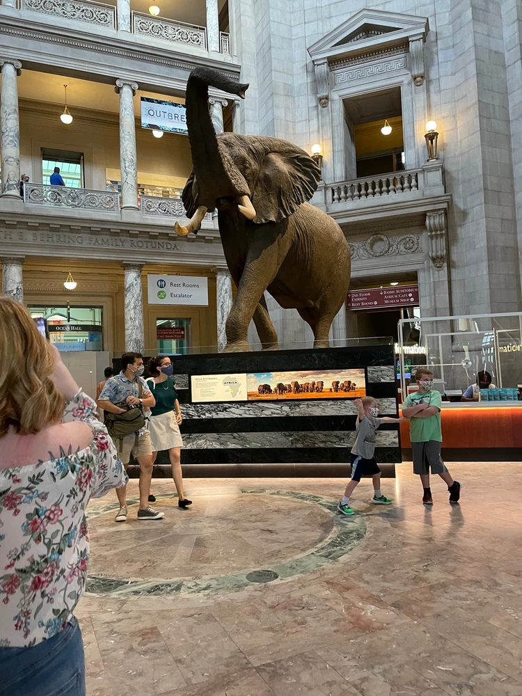 Image uploaded by Cassandra