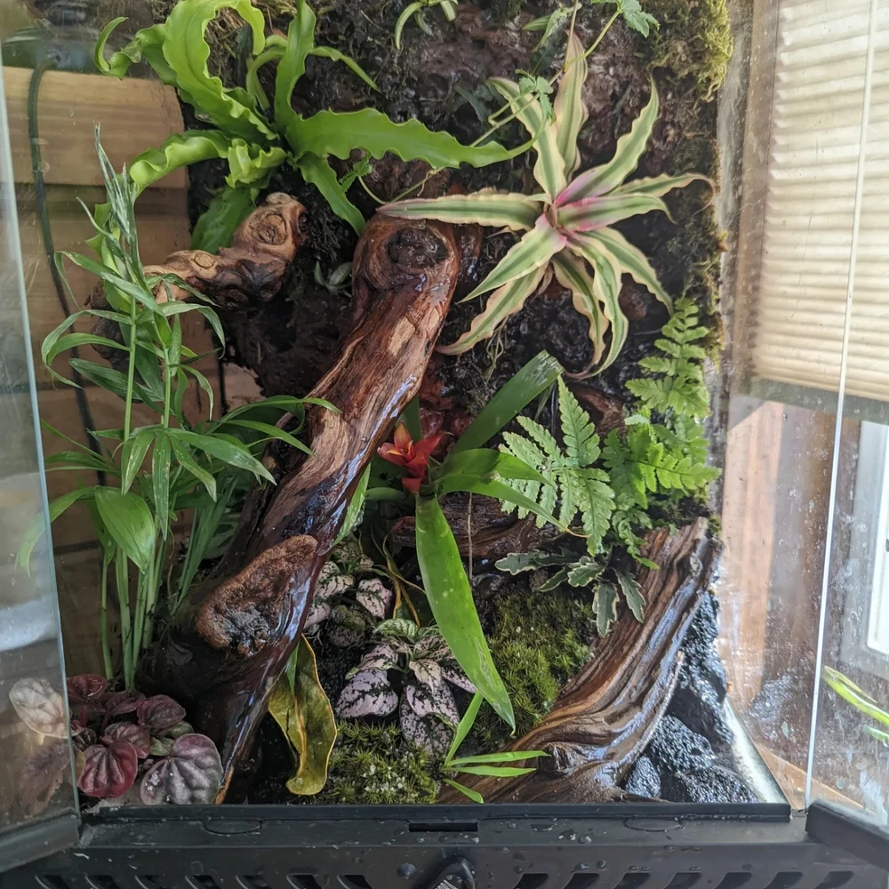 Image uploaded by kevin