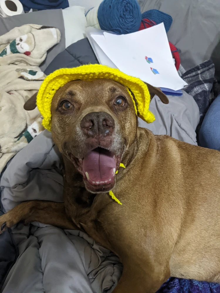 Image uploaded by Harumi 🌸