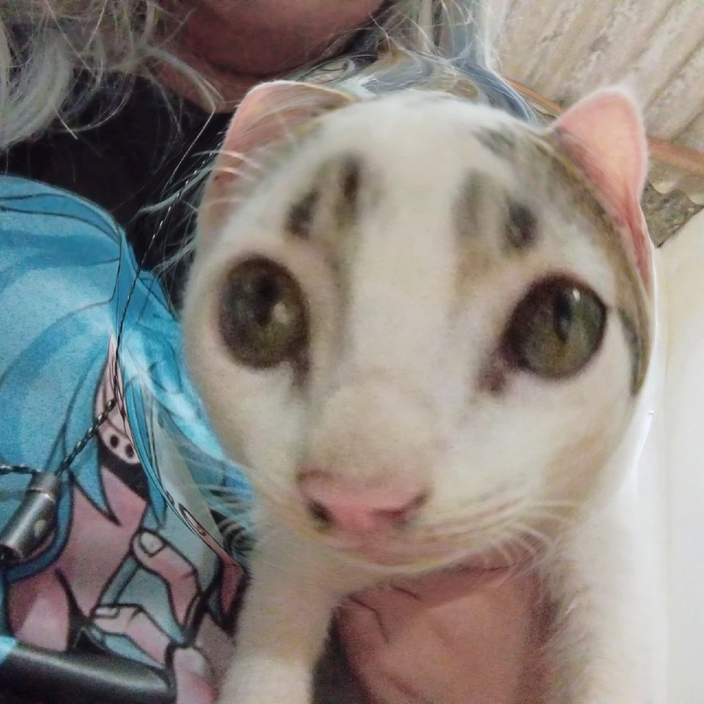 Gambar diunggah dening Laura