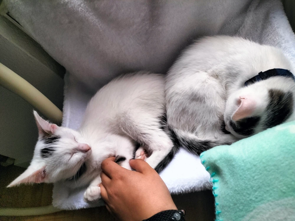 Bild hochgeladen von Lenn