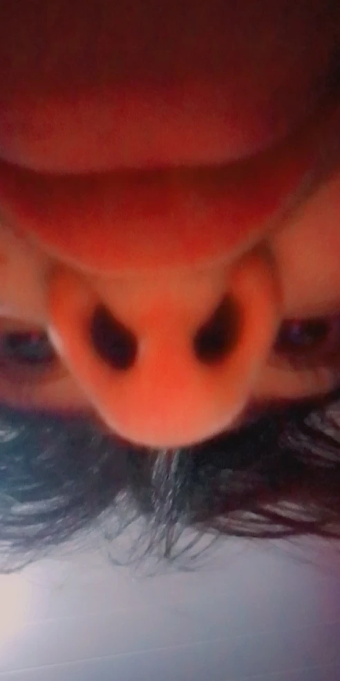 Imagem enviada por Tay