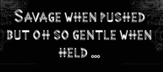 Image uploaded by ꧁💜࿇ ᴮⁱᵃⁿᵏᵃ ࿇💜꧂