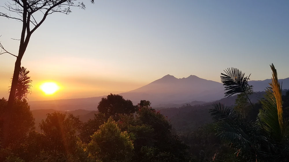 Gambar diunggah oleh Bifa Rizky