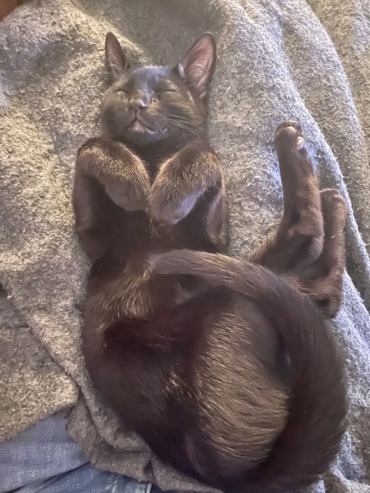 Image uploaded by Kixy