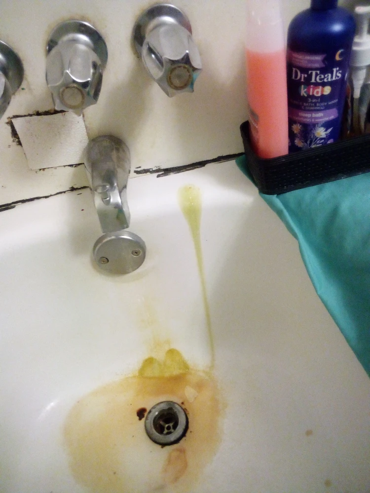 Image uploaded by Jenn