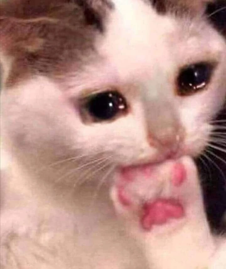 Image uploaded by Nye