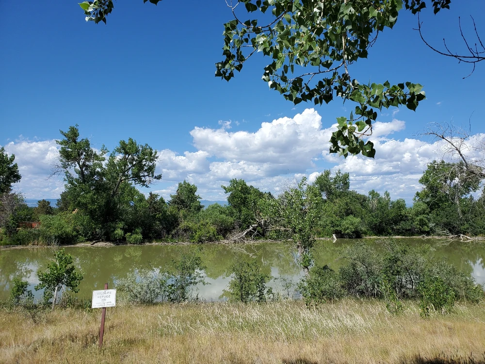 Gambar diunggah dening Jacqueline