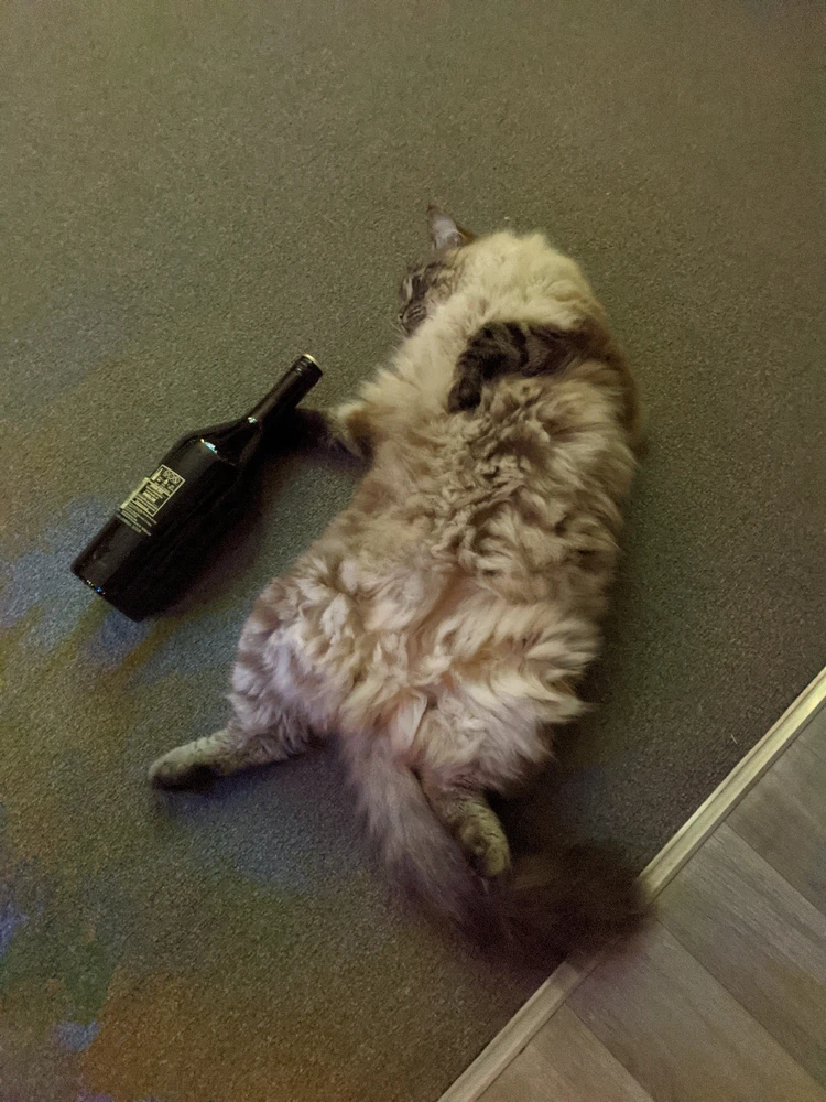 Image uploaded by Jamie