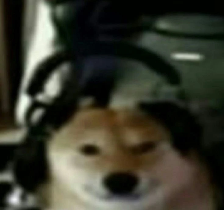 Imagem enviada por Tay