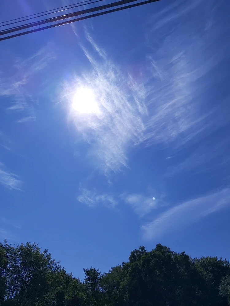 Image uploaded by Halaxy