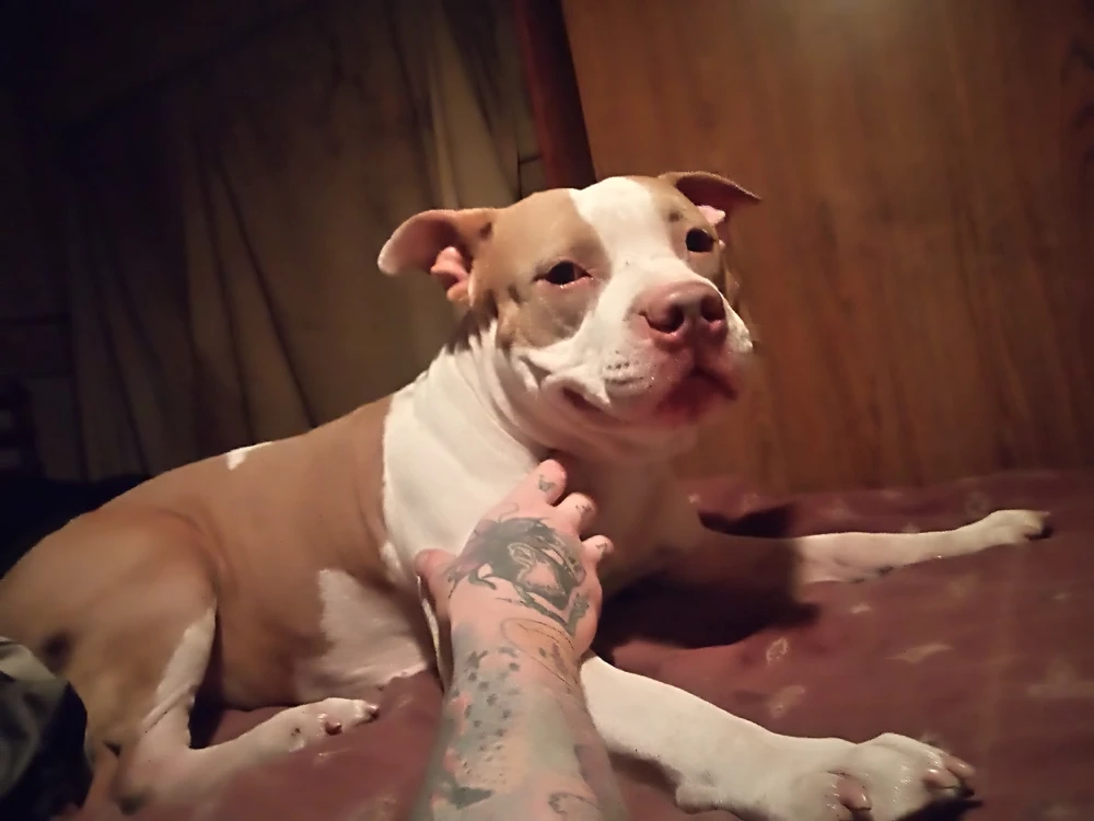 Image uploaded by Ethan