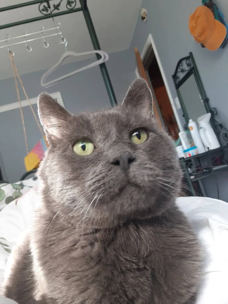 Image uploaded by Jami Lea Archuleta