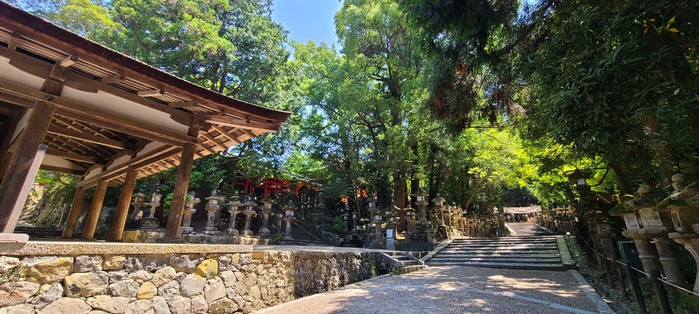 Image uploaded by Alex サンジャ