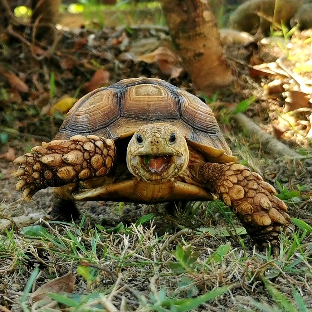 Gambar diunggah dening Super Mario