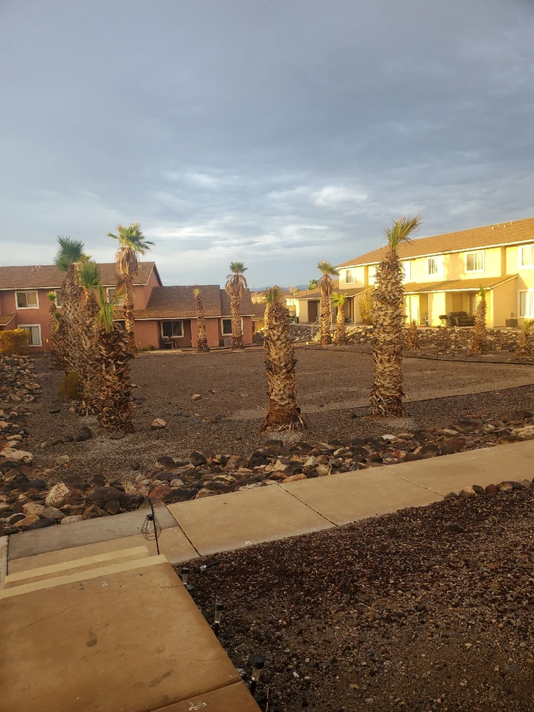 Image uploaded by Harley