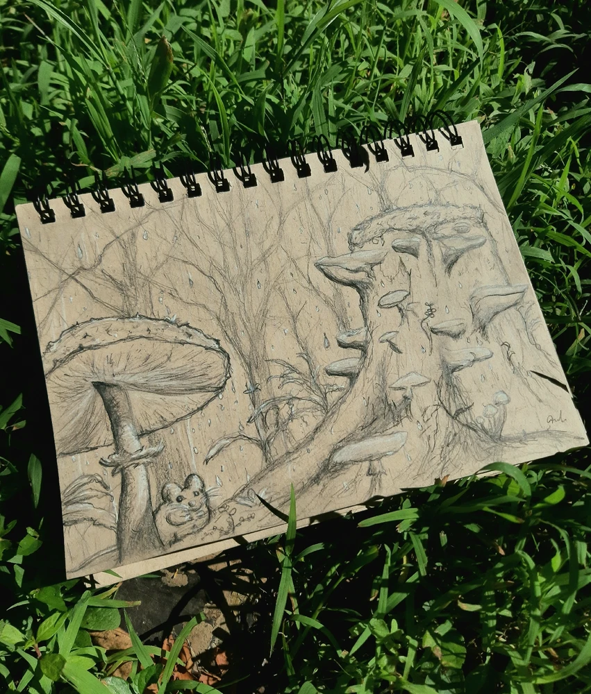 Image uploaded by Amelia