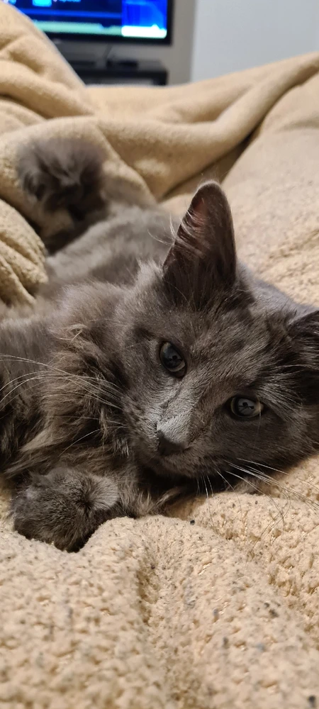 Image uploaded by Joshua