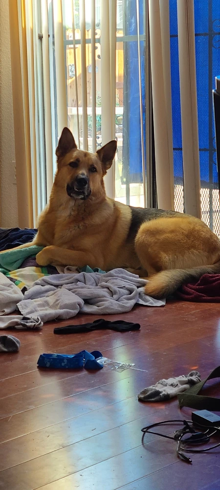 Image uploaded by Christina