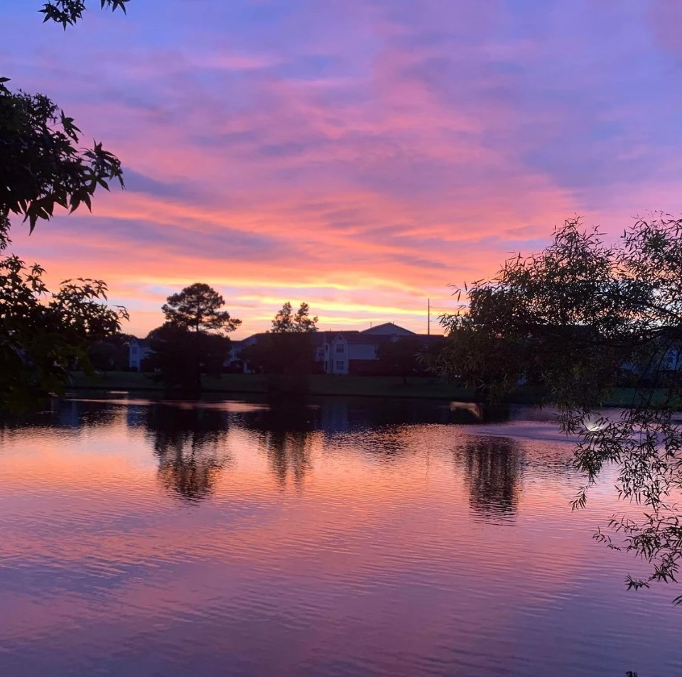 Image uploaded by Ingrid 🇫🇷 in 🇺🇸