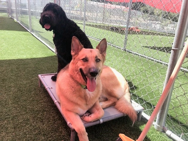 Image uploaded by Christina