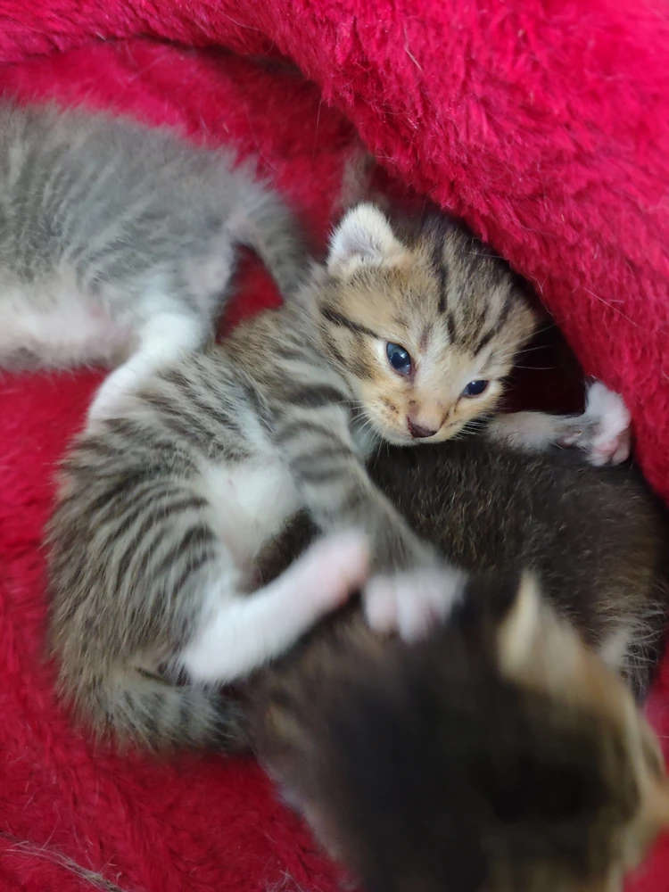 Image uploaded by Krysta