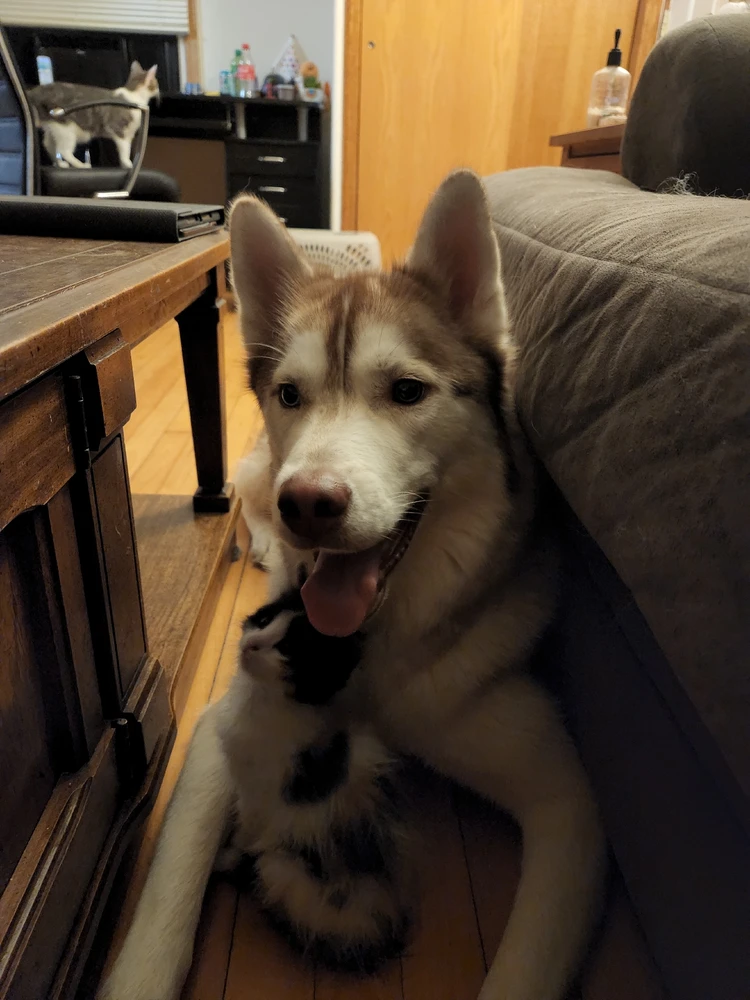 Image uploaded by Mattie