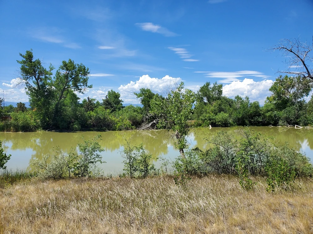 Gambar diunggah dening Jacqueline