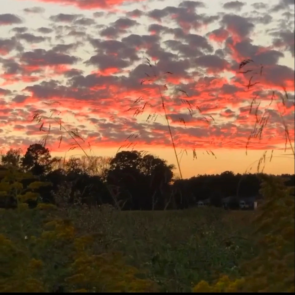Image uploaded by Ingrid 🇫🇷 in 🇺🇸