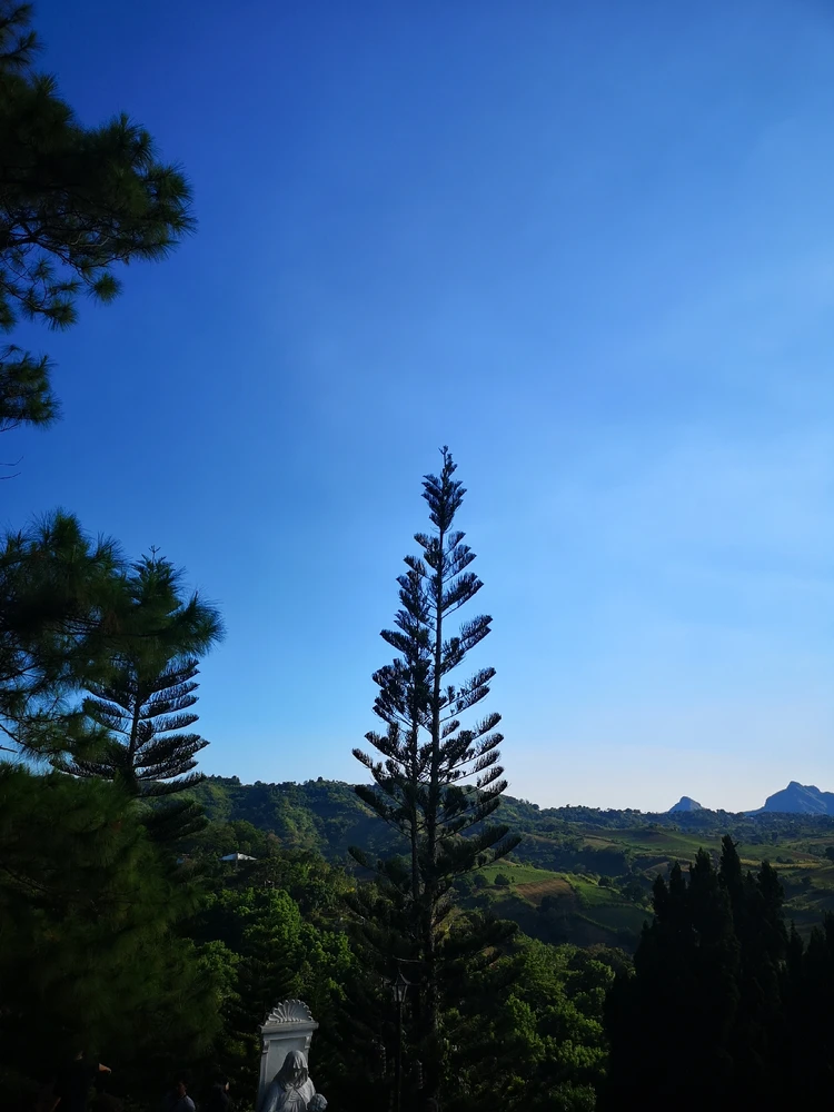Image uploaded by Roan