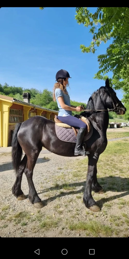 💖Un pezzo di felicità💖