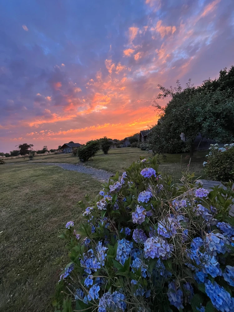 Image uploaded by Sunday