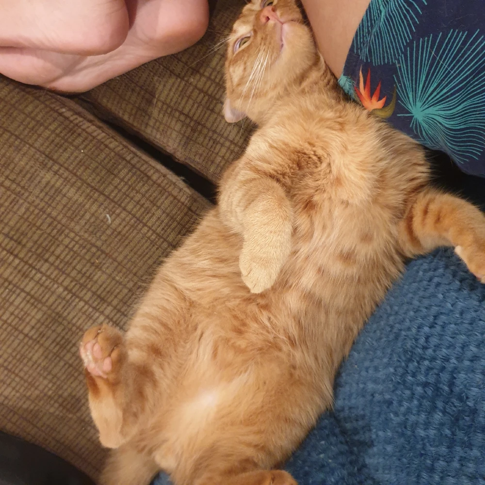 Image uploaded by Hadron