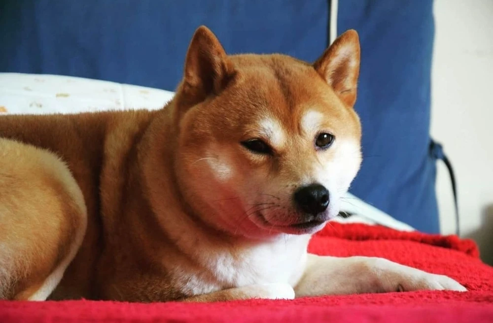 Immagine caricata da Veronica