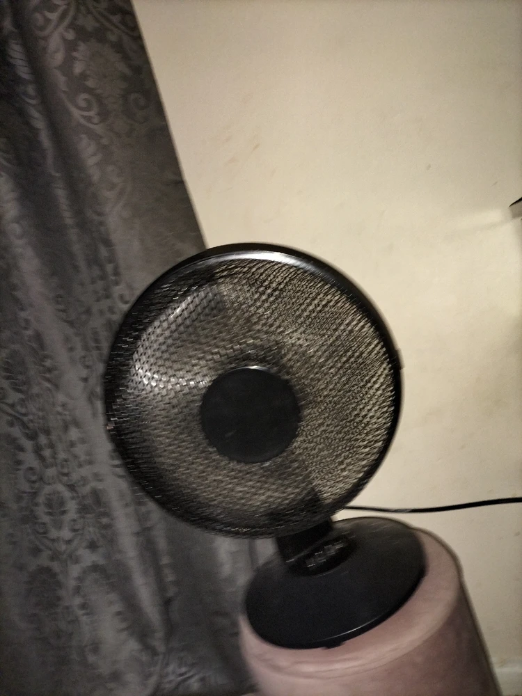 Gambar diunggah dening Char