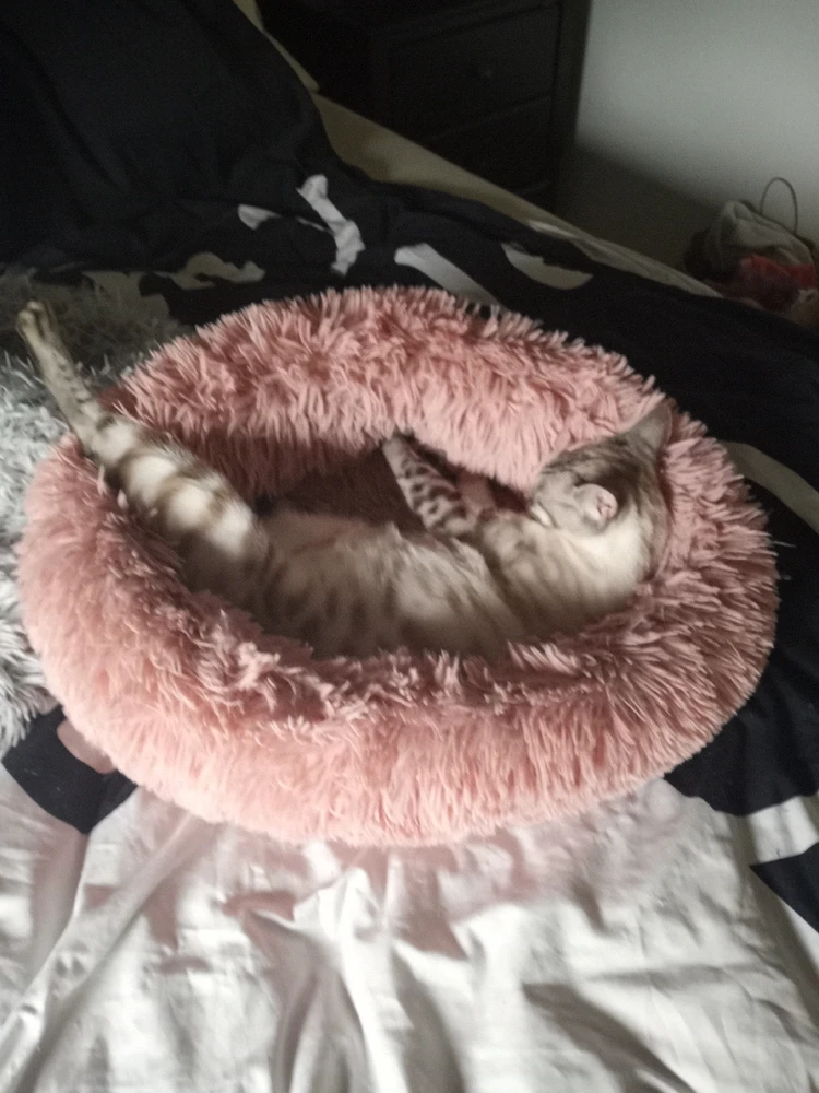 Image uploaded by Emilio ( Emo )