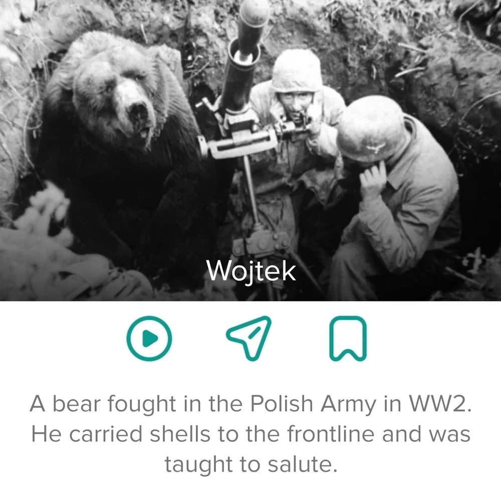 Image uploaded by Ban me from this disgusting app