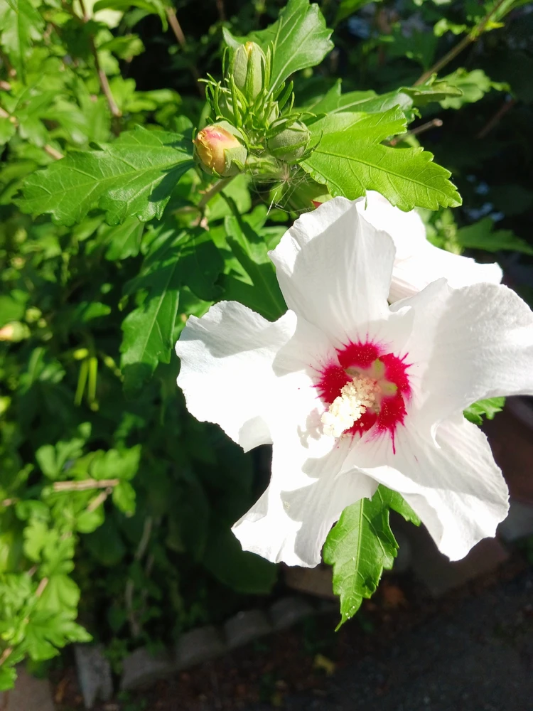Image uploaded by Aekaterini