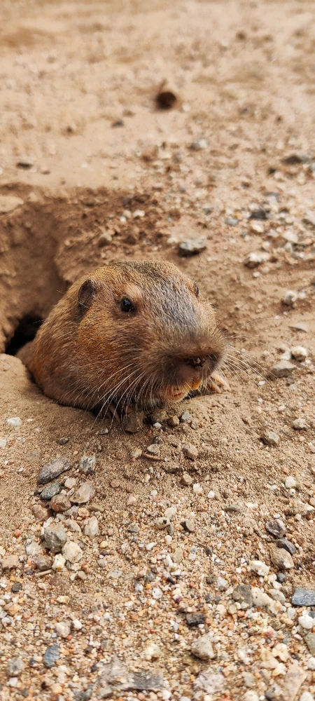 Image uploaded by Hunter A Franke