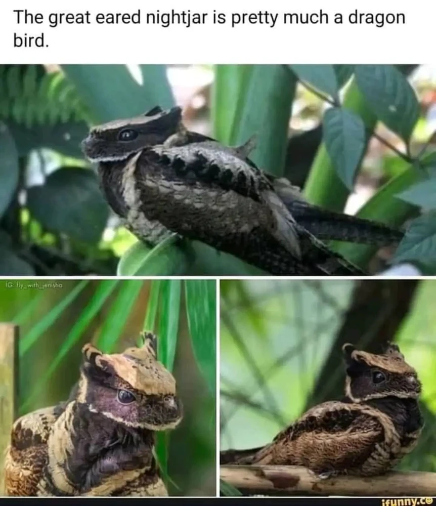 Radian tərəfindən yüklənən şəkil