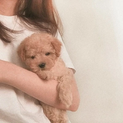 Lee ♡︎上傳的圖片
