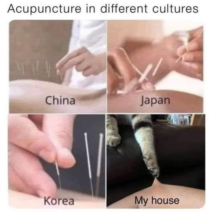 Image uploaded by Anya