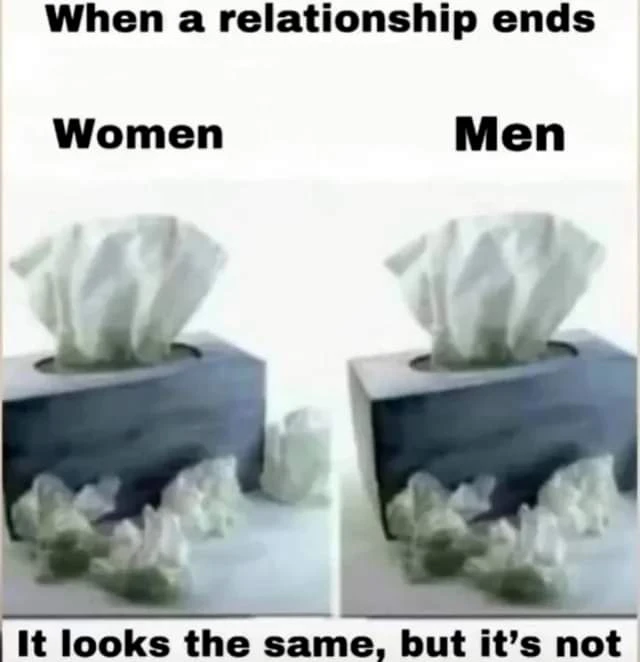 Anya上傳的圖片