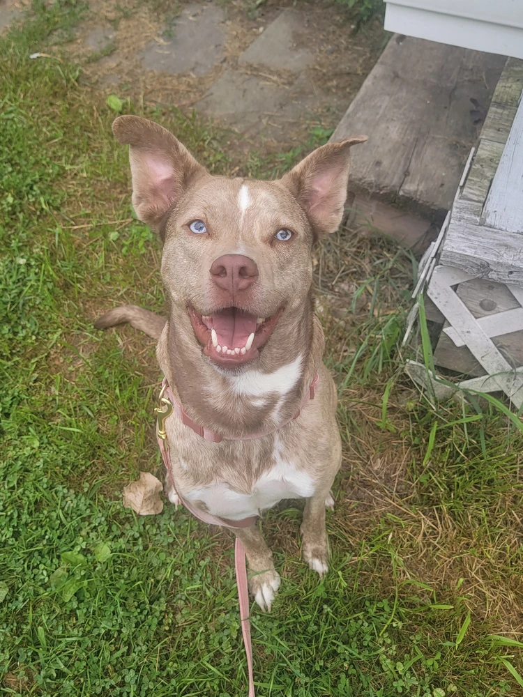 Image uploaded by KitKatt ♡