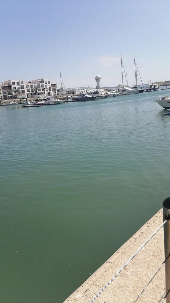 صورة رفعها Othmane