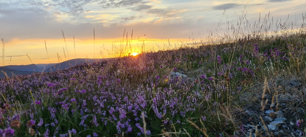Image uploaded by Glenn Wright